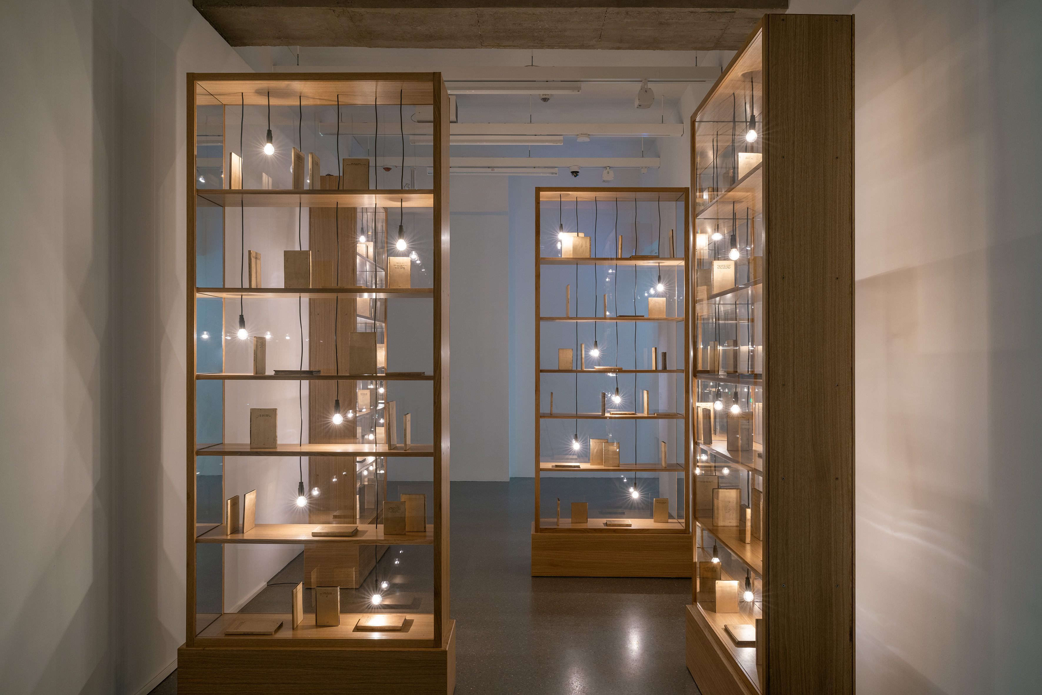 “For, In Your Tongue, I Cannot Fit”, 2023 Casts of 100 books in gunme - tal, wooden and glass vitrines, light bulbs